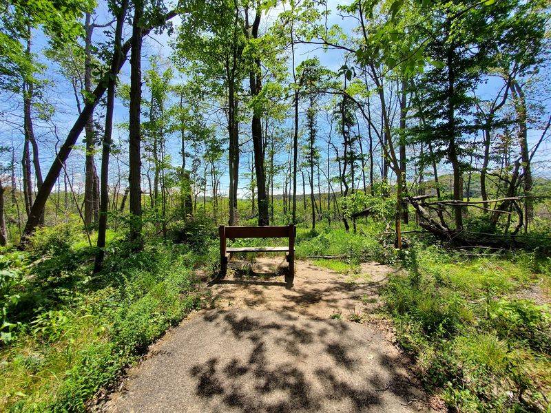 A Paved Trail With A Twist