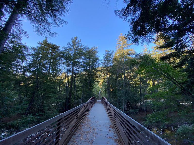 A Peaceful Escape for Every Skill Level