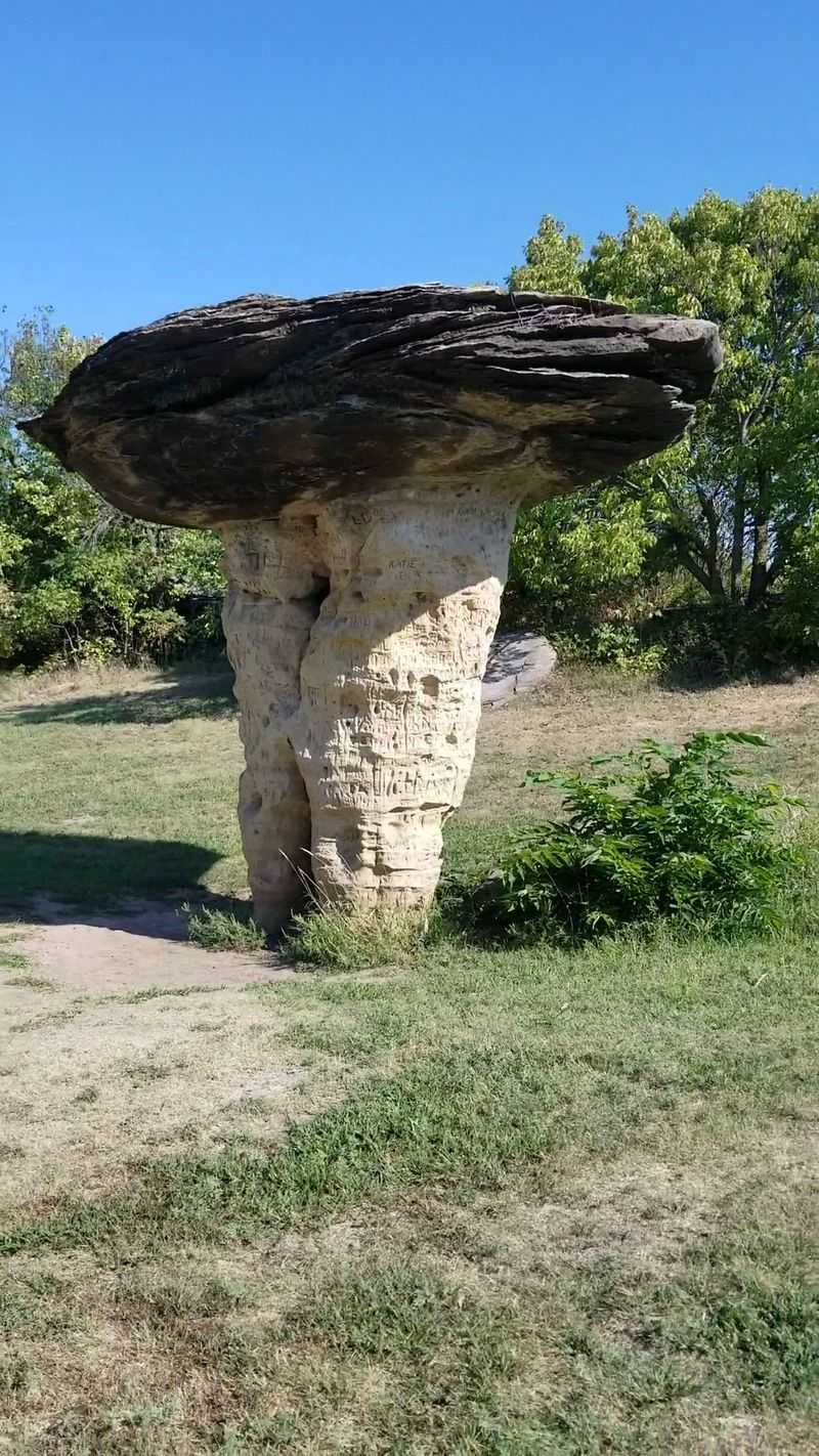 A Peaceful Picnic Spot in the Prairie
