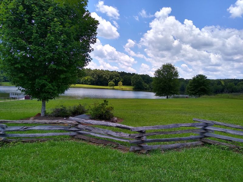 A Peaceful Pond and Wilder Trails
