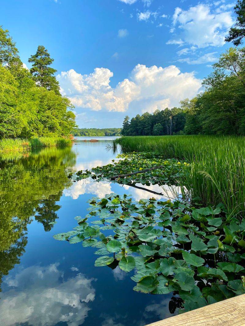 A Peaceful Retreat Worth The Drive