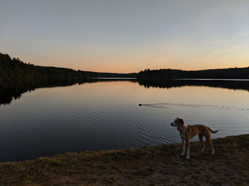A Peaceful Setting For Nearly Everyone A Peaceful Setting For Nearly Everyone