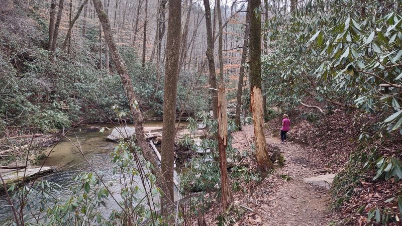 A Peaceful Spot for Families and Beginners