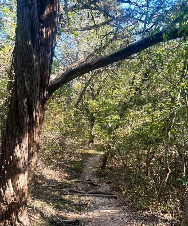 A Perfect Base For Exploring Waco And Beyond