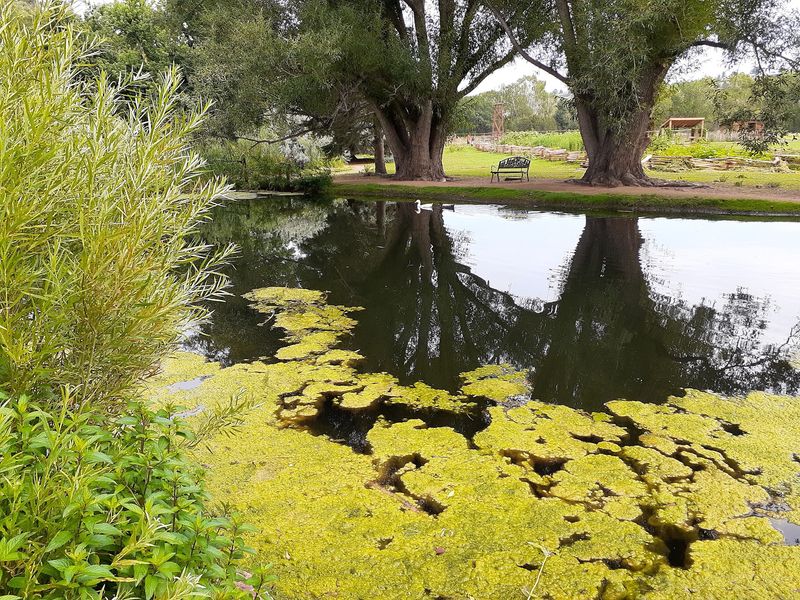A Perfect Spot for Picnics and Peaceful Walks