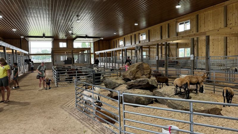 A Petting Zoo That Genuinely Impresses