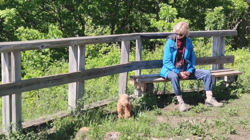 A Picnic Area Built for Lingering A Picnic Area Built for Lingering