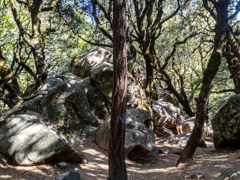 A Playground for Climbers