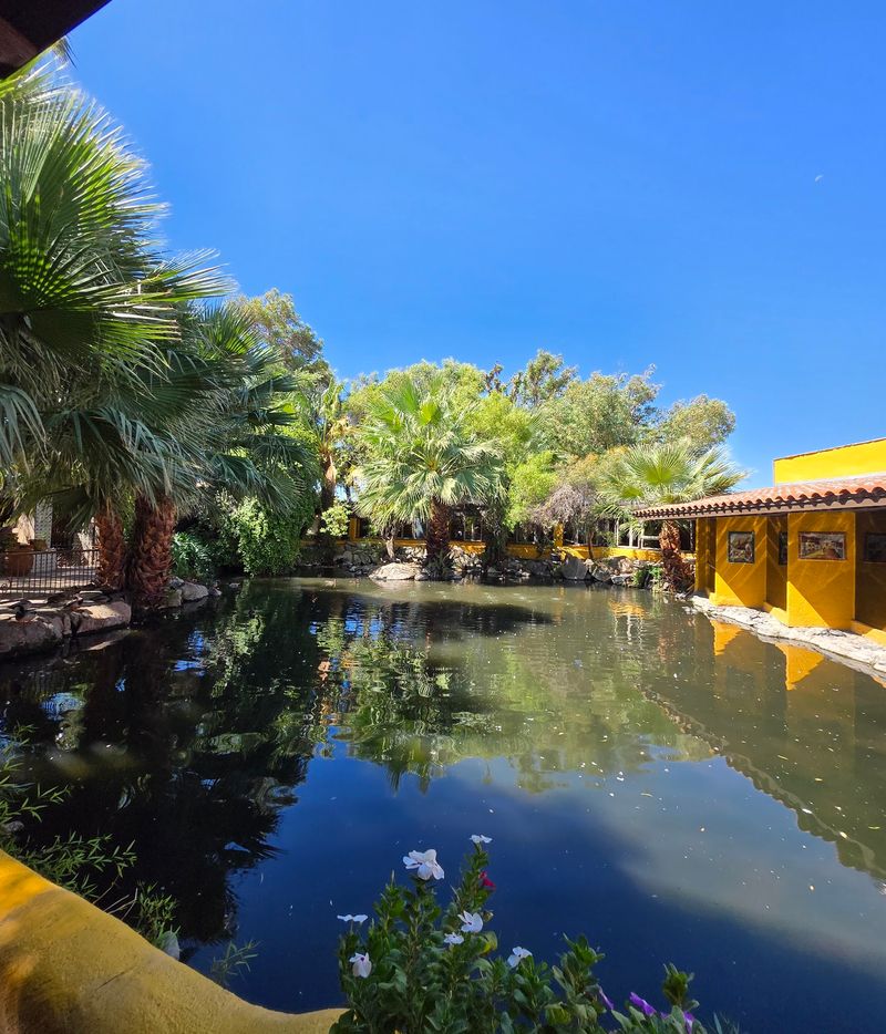 A Pond-Side Patio That Feels Like a Vacation