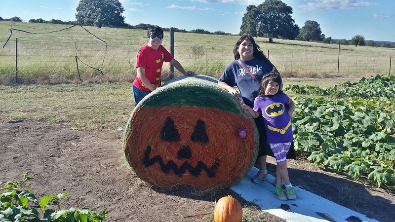 A Pumpkin Patch When Fall Arrives