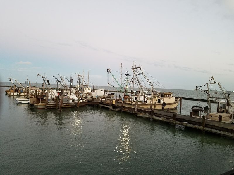 A Quiet Corner of Aransas County