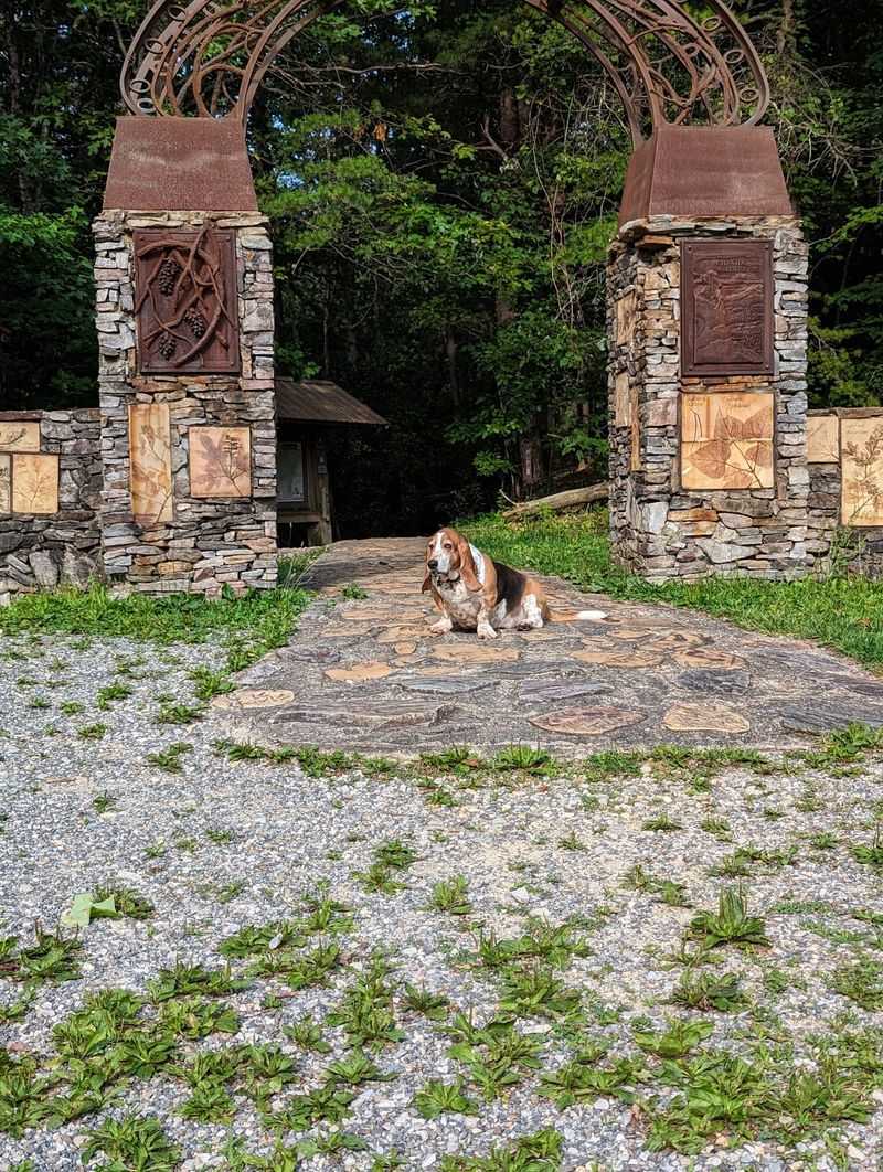 A Quiet, Dog-Friendly Escape For Families A Quiet, Dog-Friendly Escape For Families