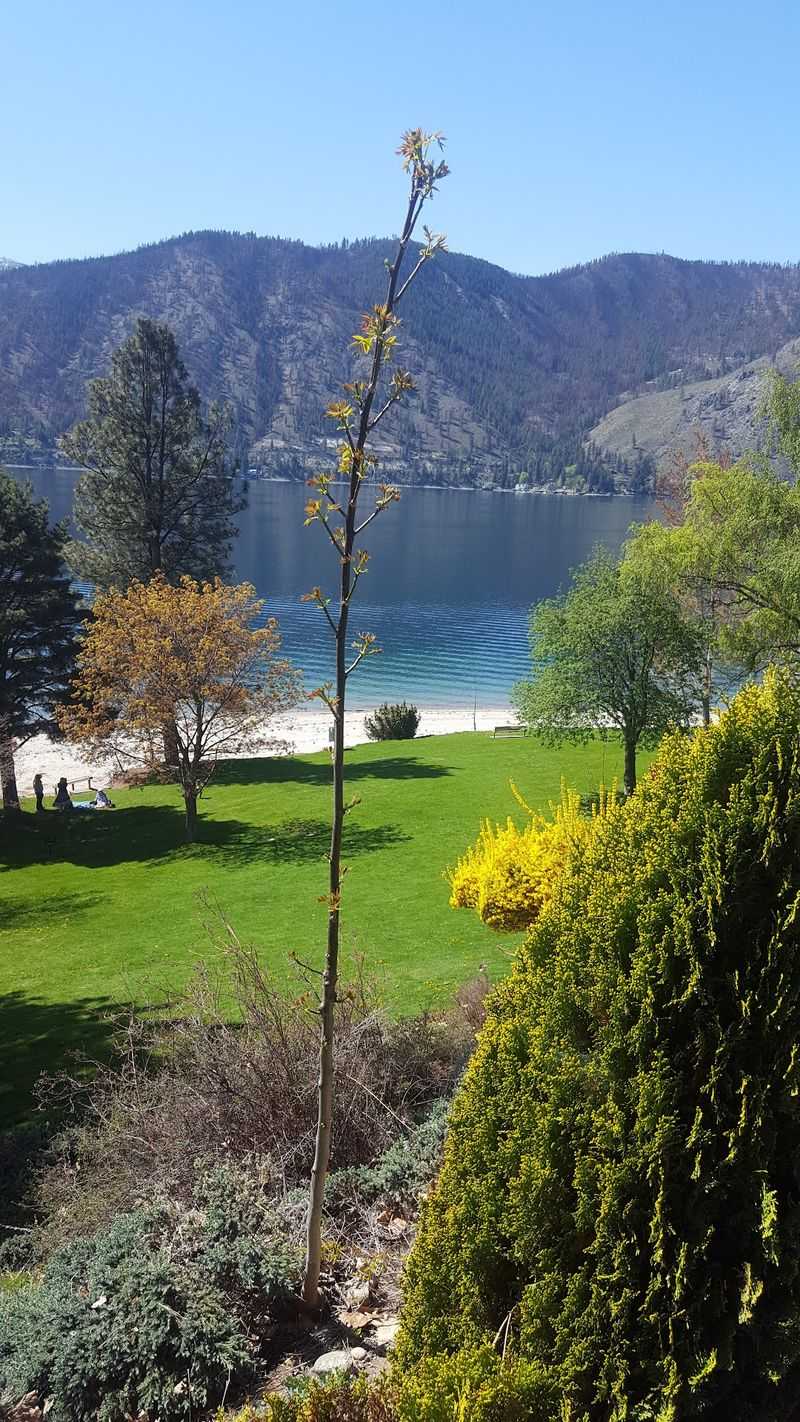 A Quiet Landing Spot Worth Considering