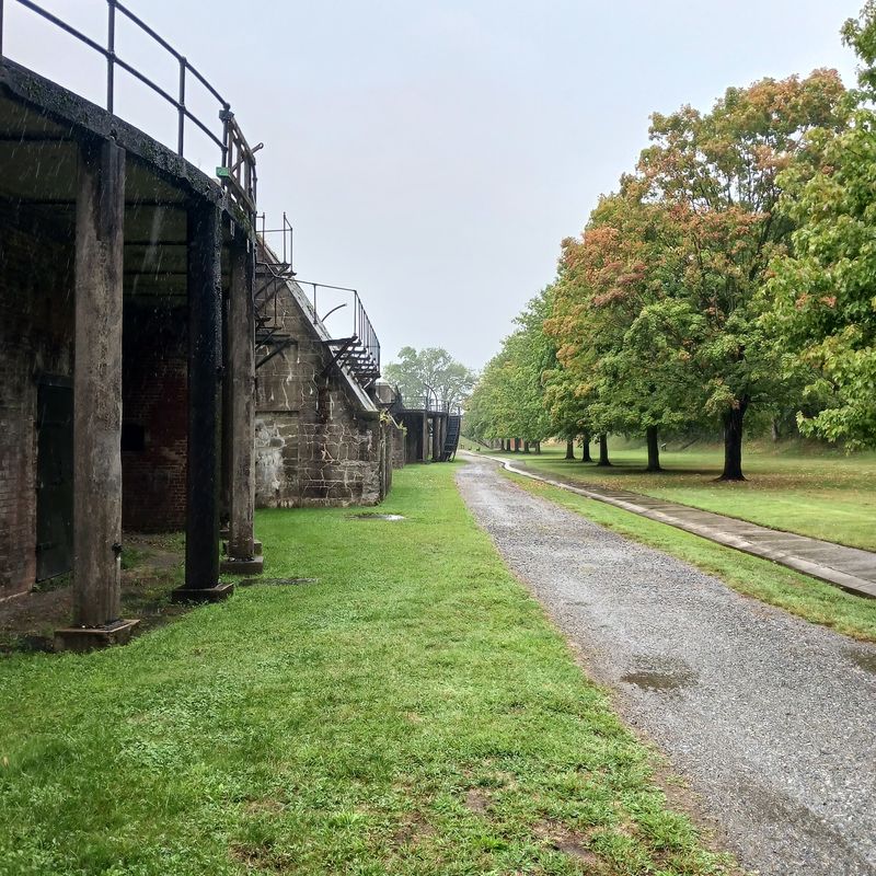 A Quiet Nature Trail to Finns Point Cemetery