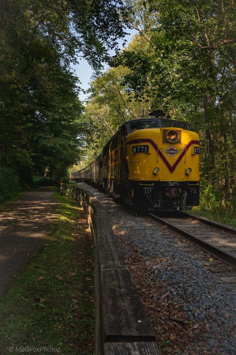 A Rail Line With Deep Roots