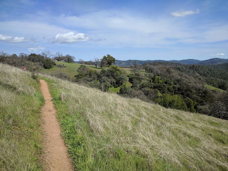A Ranch That Became A Refuge