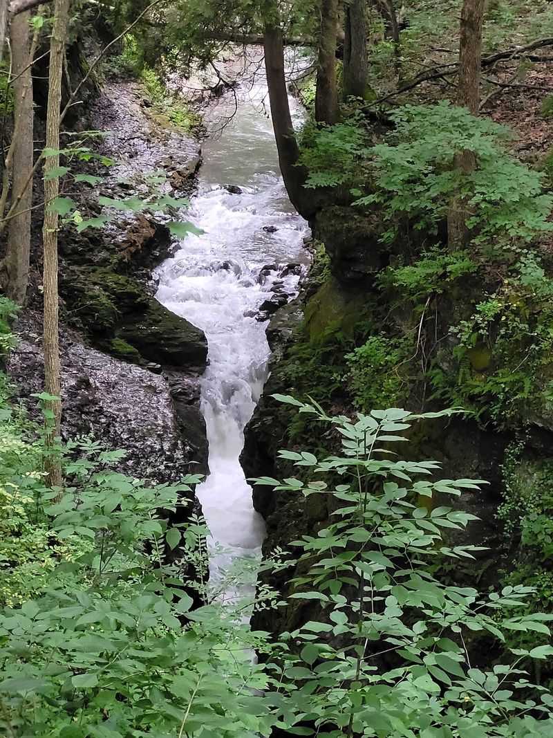 A River That Did the Heavy Lifting