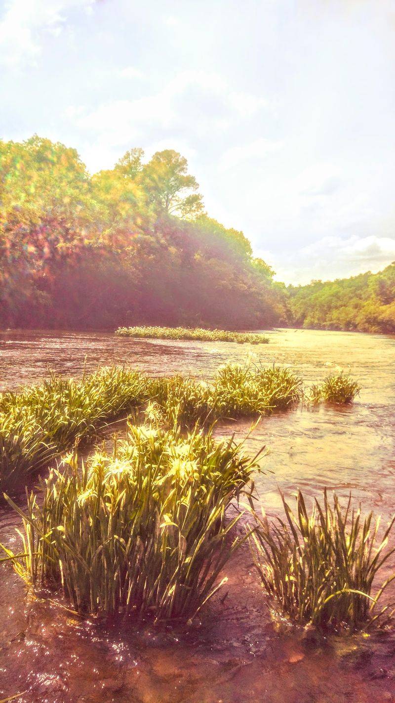 A River That Runs Freely Through History A River That Runs Freely Through History