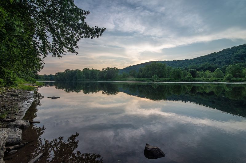 A Riverside Forest Tucked Into the Water Gap A Riverside Forest Tucked Into the Water Gap