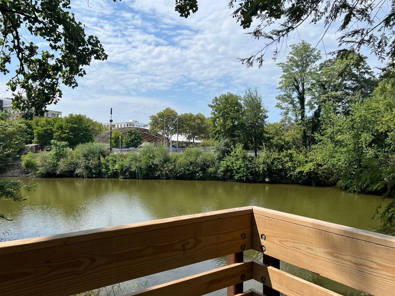 A Riverside Setting Between Old And New