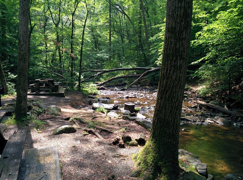 A Riverside Walk Made for Lingering