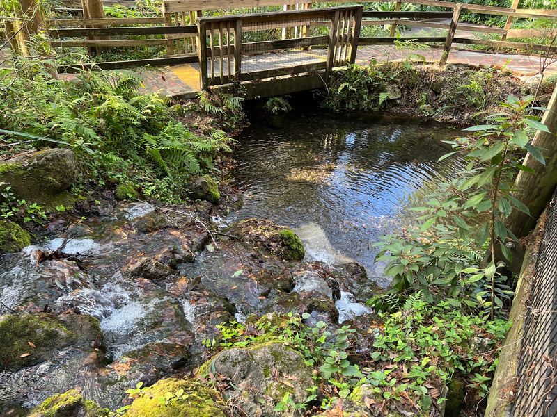 A Roadside Attraction With A Second Life