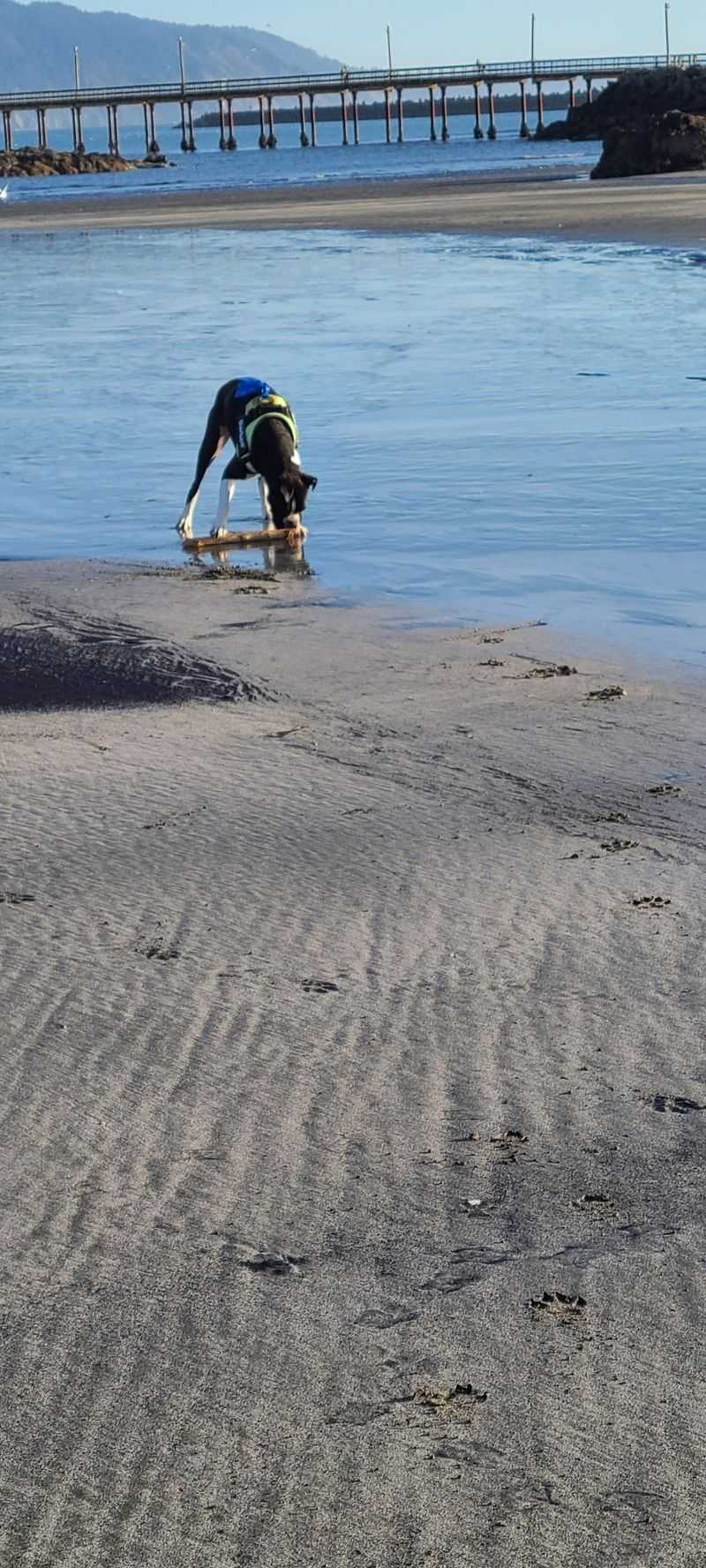 A Sandy Beach Right at Your Feet