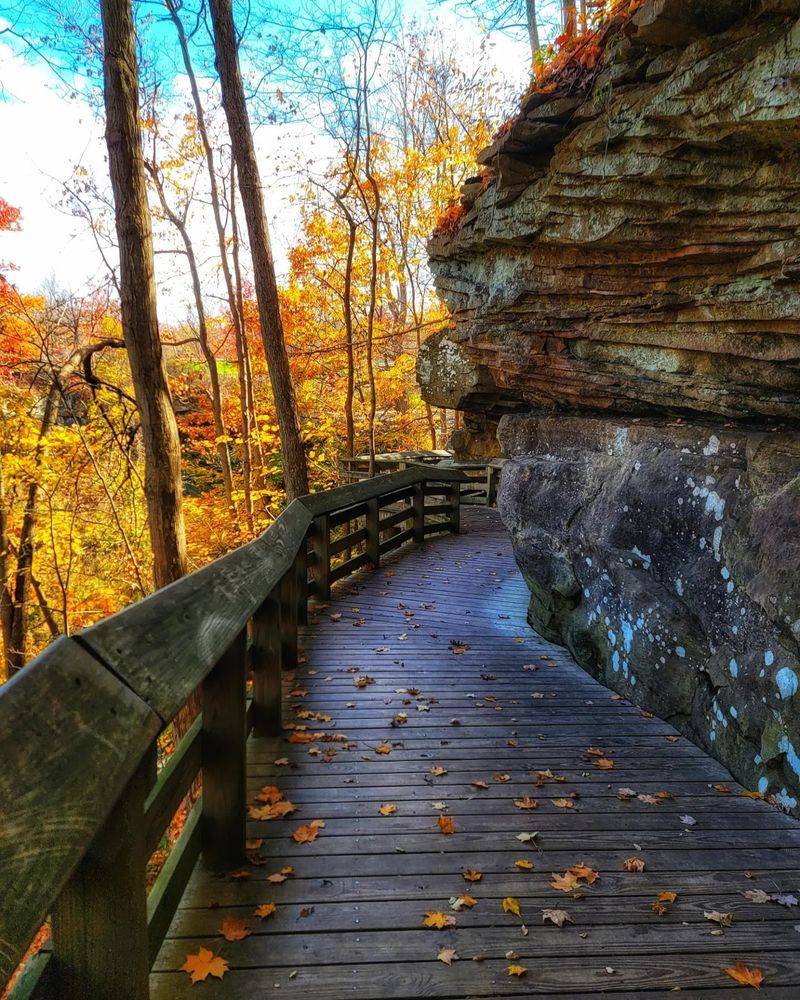 A Season for Every Visit A Season for Every Visit