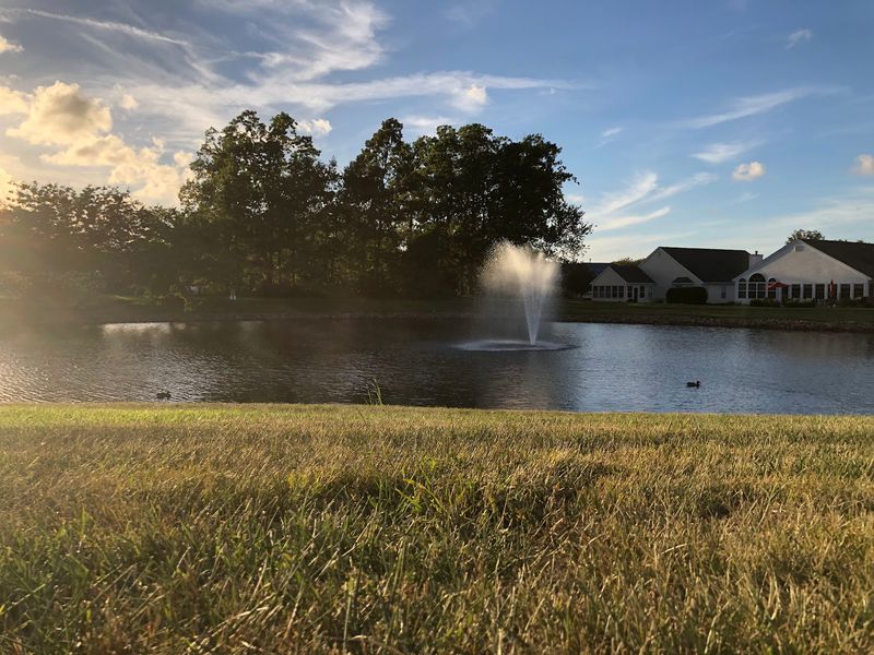 A Setting Beside The Water