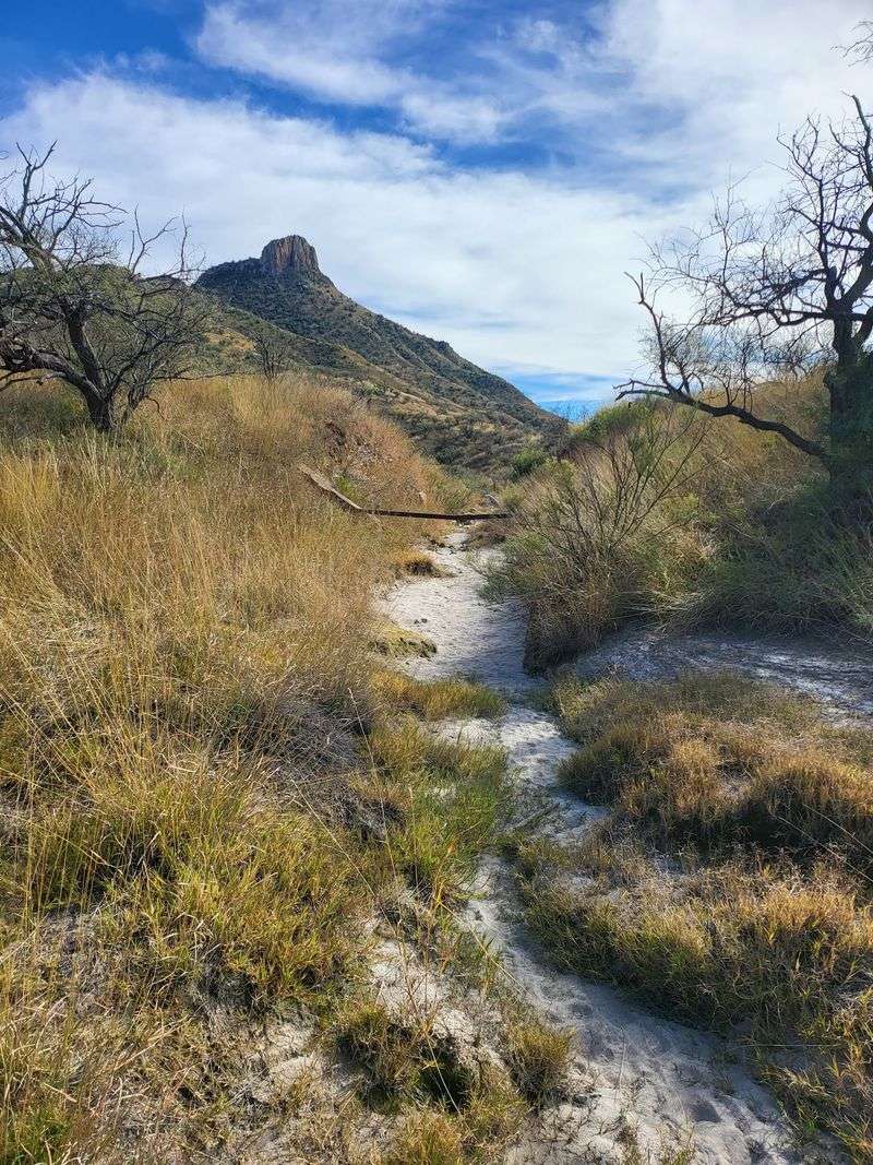 A Setting Wrapped In Wilderness