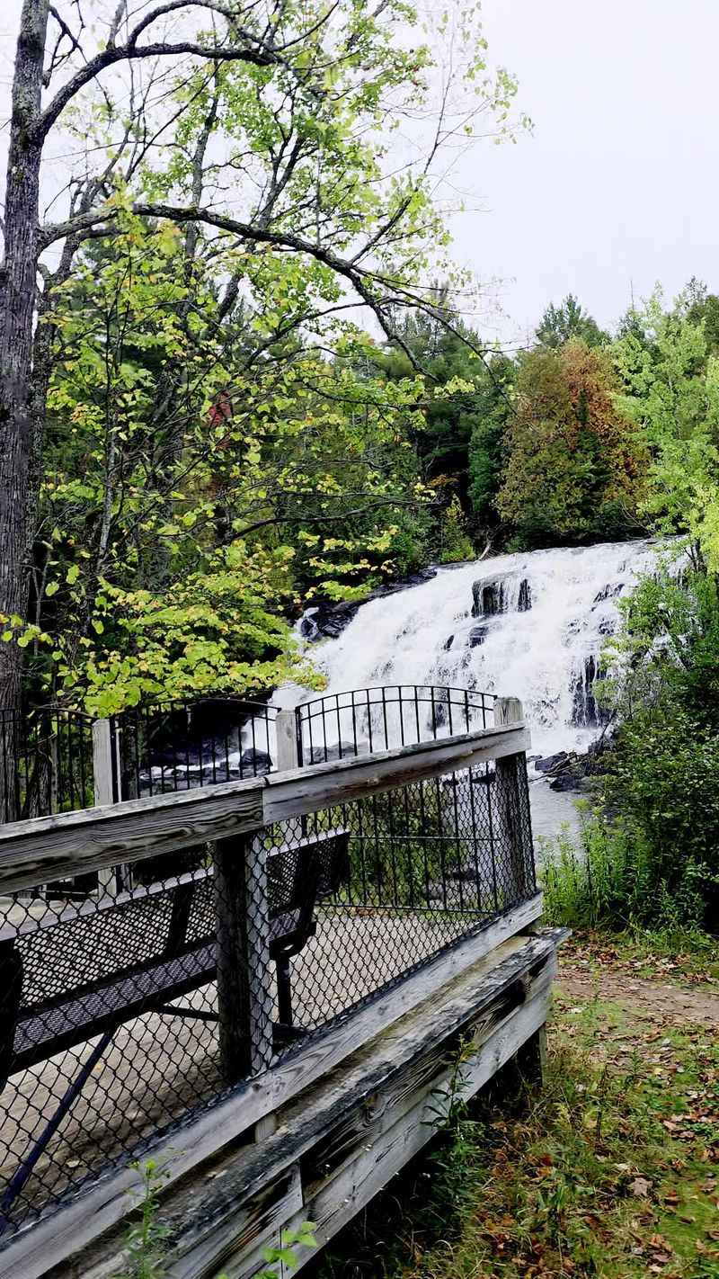 A Short Walk With A Surprising Payoff