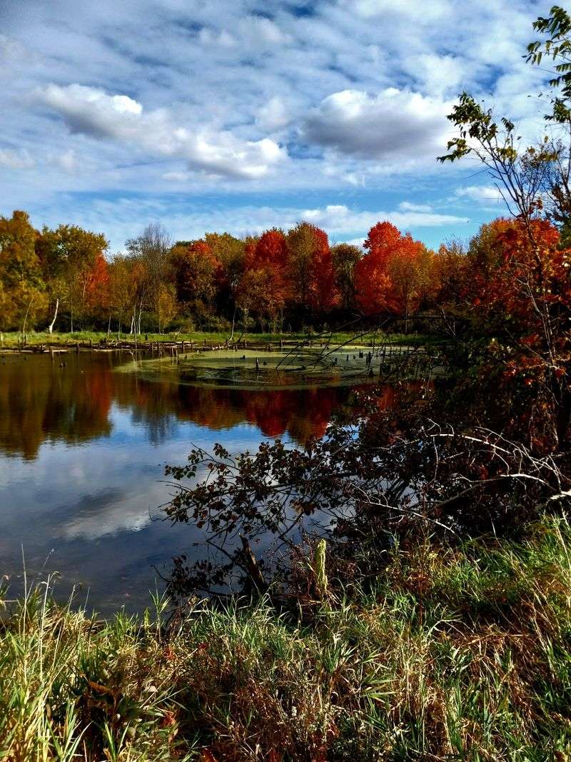 A Sleepy Corner Of Mid-Michigan