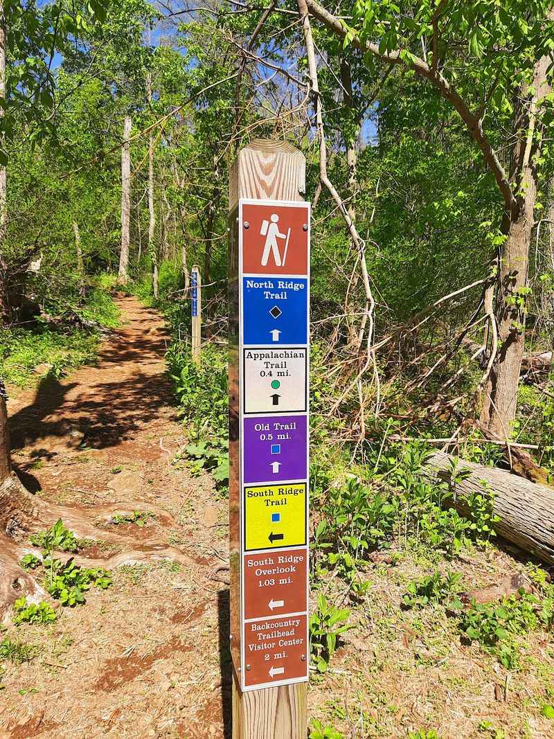 A Slice of the Appalachian Trail A Slice of the Appalachian Trail