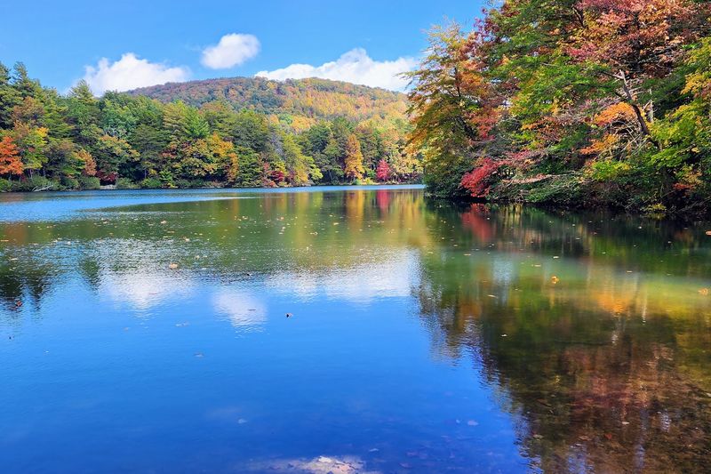 A Small Lake with Big Charm A Small Lake with Big Charm