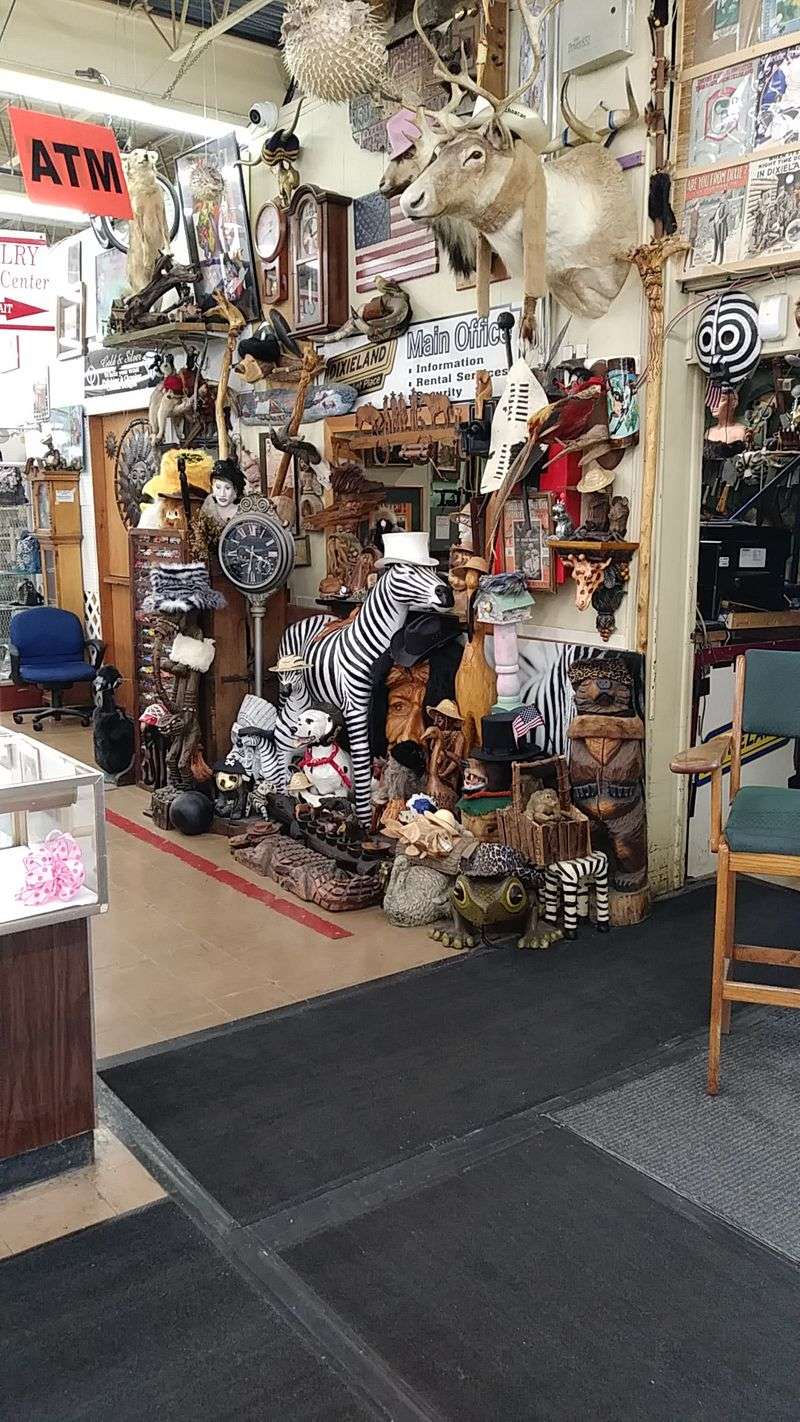 A Sports Fan's Paradise