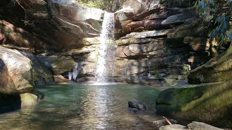 A Swim Right Up to the Water