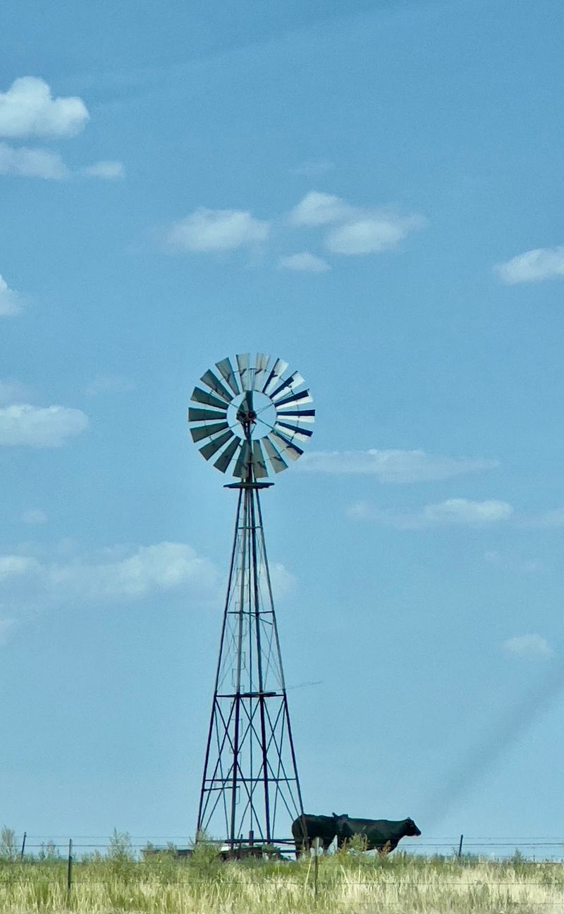 A Town With Roots in Ranch Country
