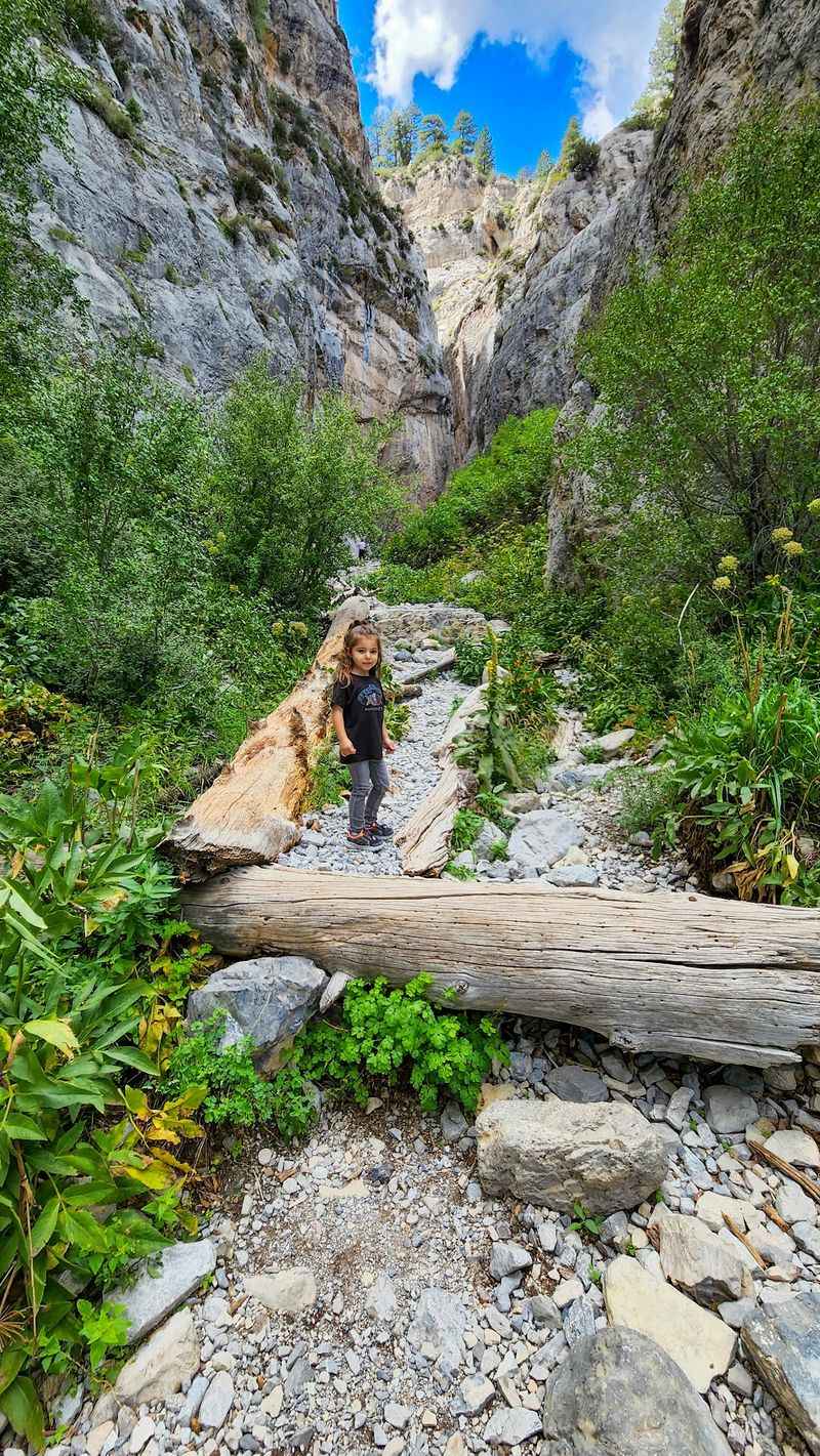 A Trail Built for Little Legs