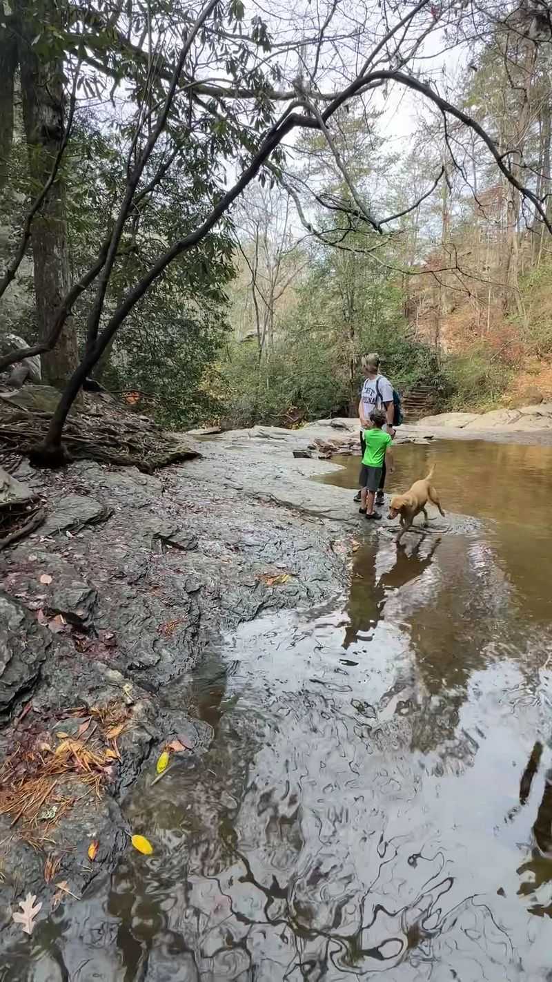 A Trail Friendly to Young Families