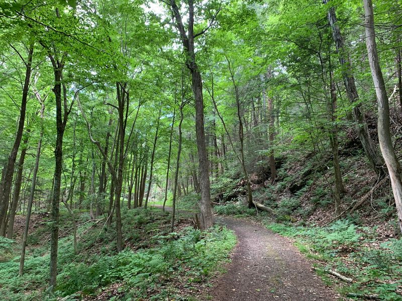 A Trail Made for Families and Easy Days A Trail Made for Families and Easy Days