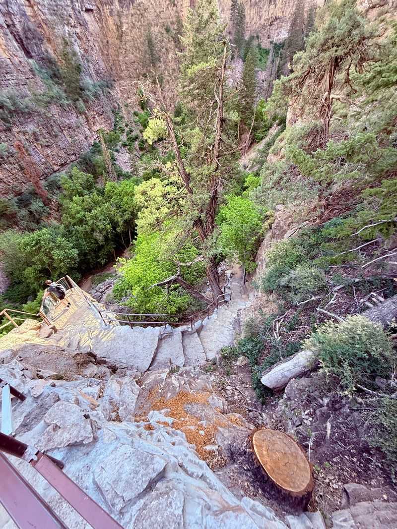 A Trail Rebuilt After Fire And Floods