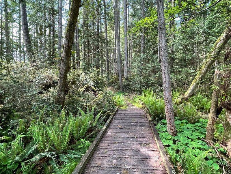A Trail That Loops The Whole Island