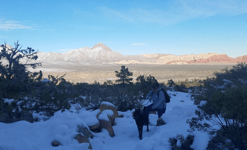 A Trail That Rewards Curious Feet