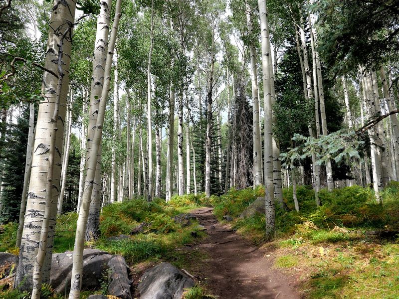 A Trail That Welcomes The Whole Family