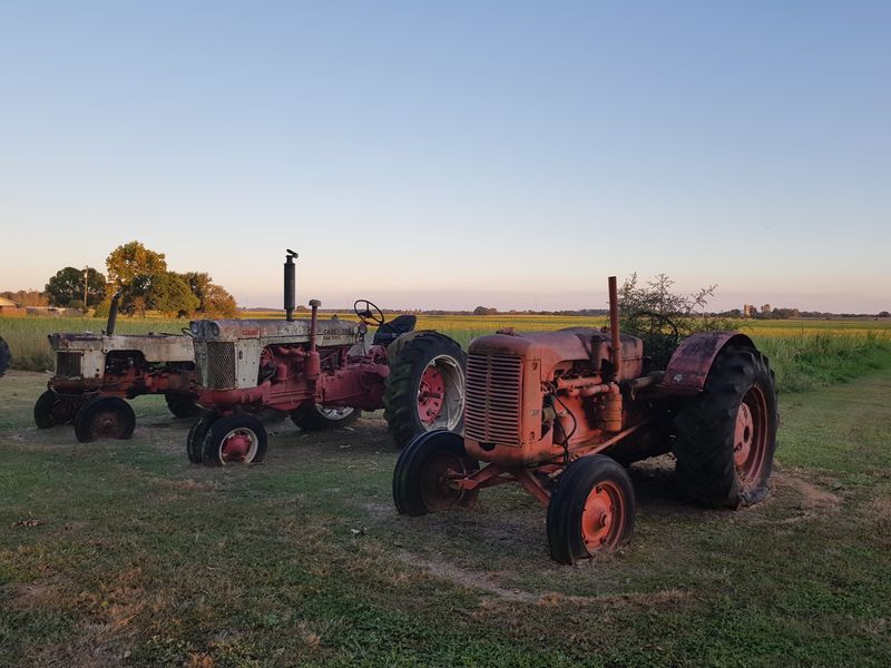A View of Farm Life That Sets the Scene Perfectly