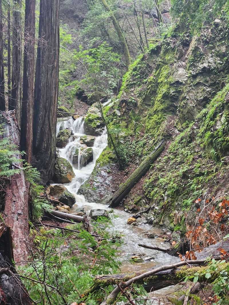 A Waterfall Trail That Adds Magic to the Experience