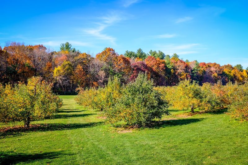 A Welcoming Spot For Families