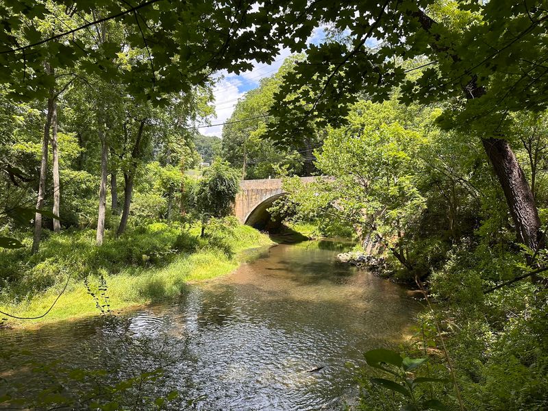 A Well-Known Trout Stream