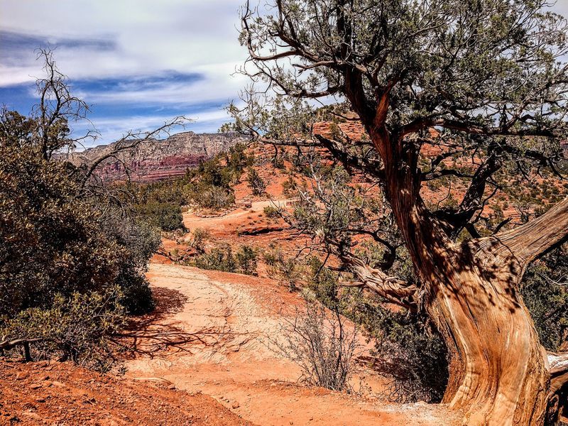 A Winding Road Up the Mesa That Feels Straight Out of a Western