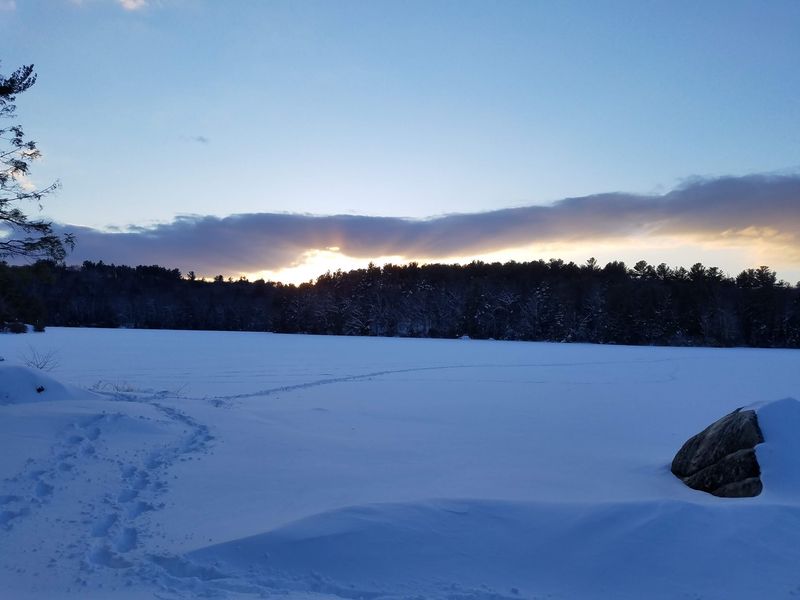 A Winter Playground On The Frozen Pond